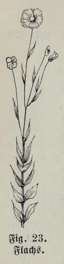 An illustration from Katechismus der Spinnerei, Weberei und Appretur, oder, Lehre von der mechanischen Verarbeitung der Gegespinstfasern, 1890, leaf 56