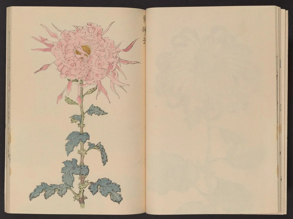 An illustration from Keika hyakugiku, 1893, leaf 13
