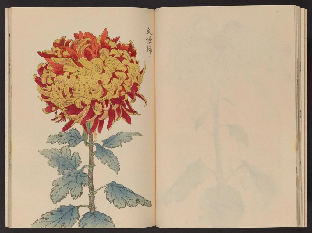 An illustration from Keika hyakugiku, 1893, leaf 16