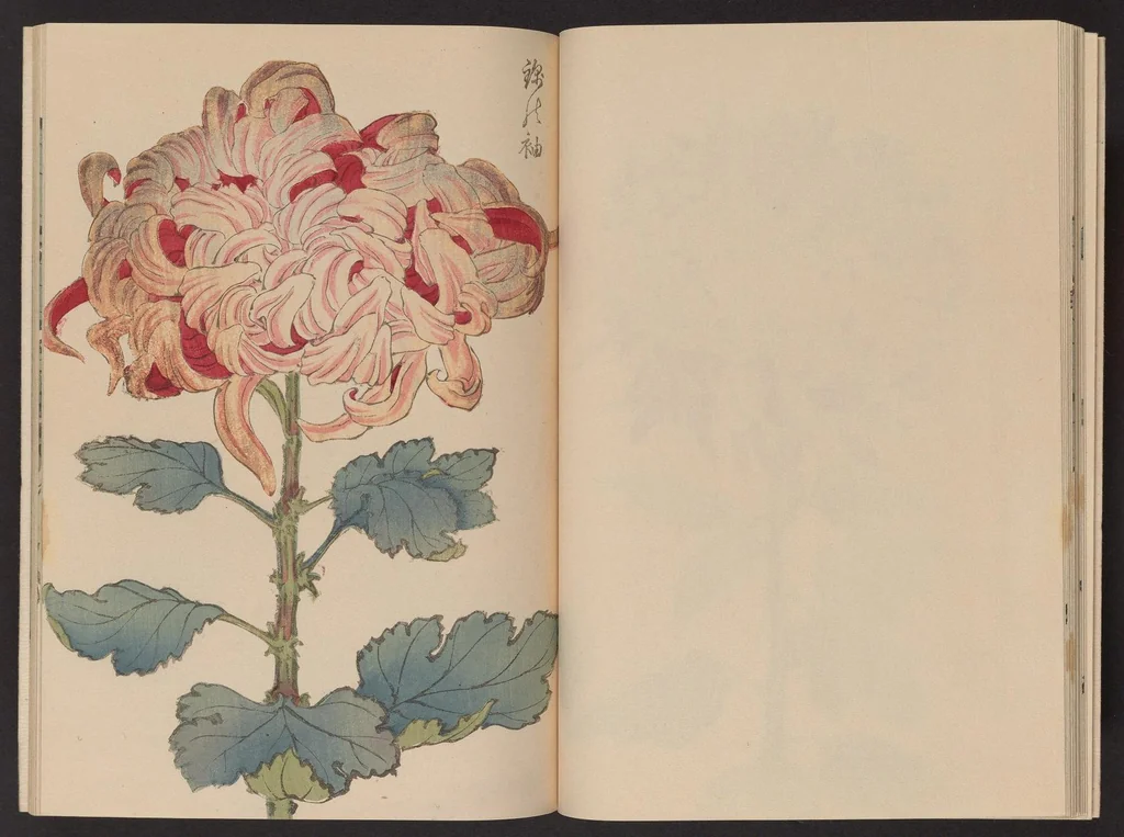 An illustration from Keika hyakugiku, 1893, leaf 17
