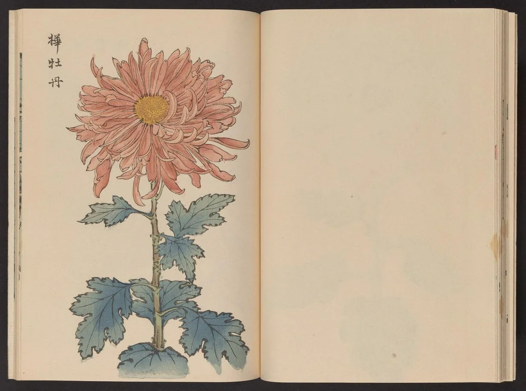 An illustration from Keika hyakugiku, 1893, leaf 19
