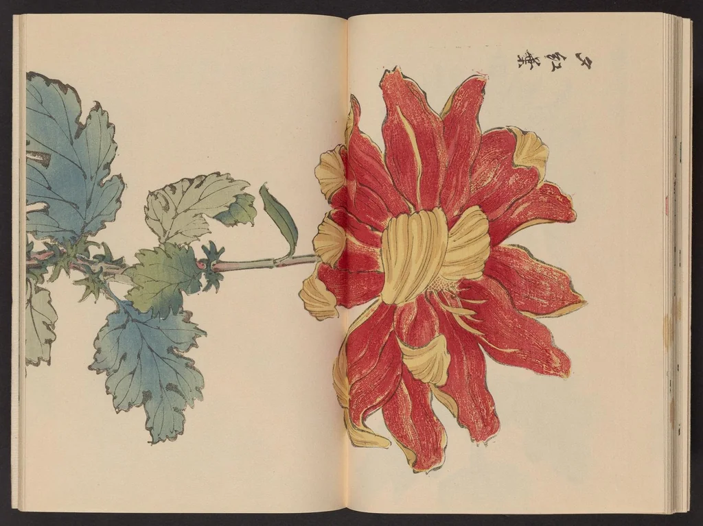 An illustration from Keika hyakugiku, 1893, leaf 20
