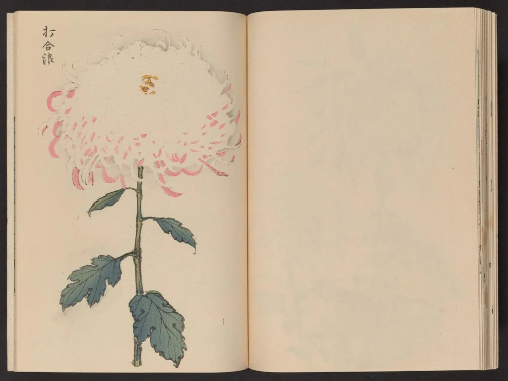 An illustration from Keika hyakugiku, 1893, leaf 23