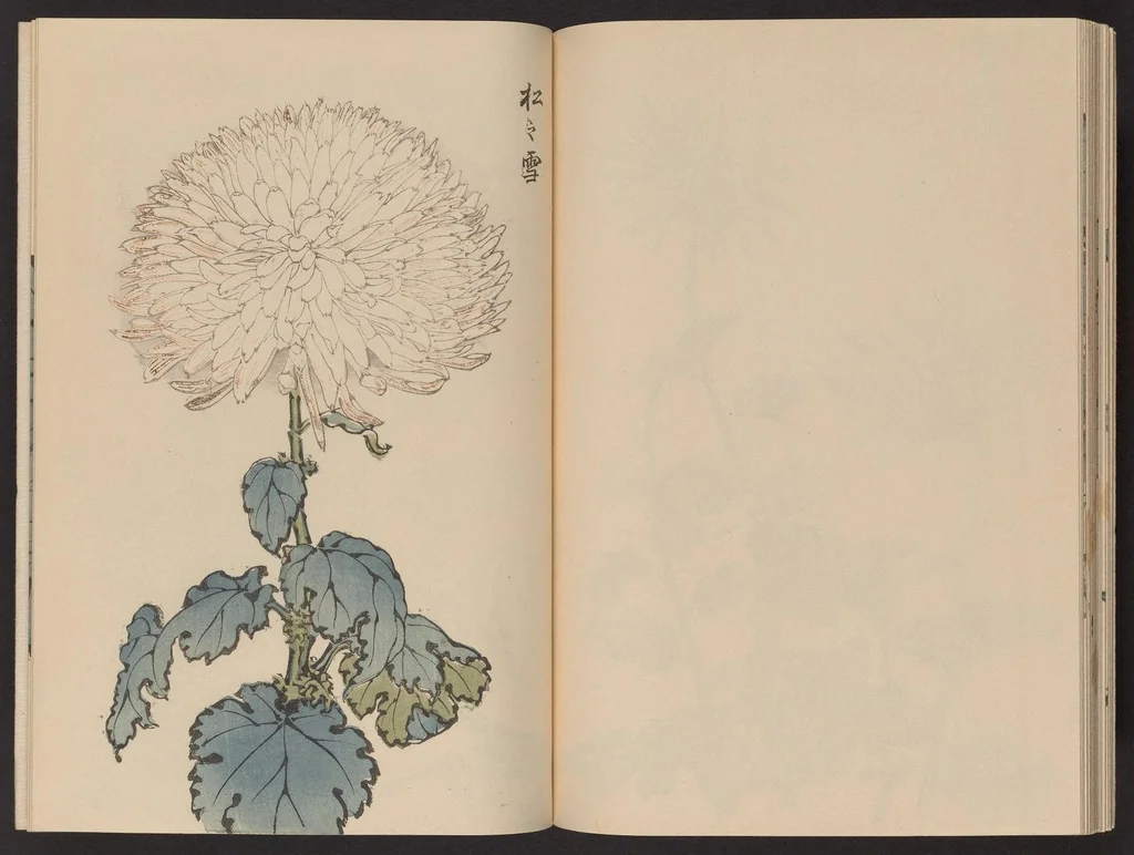 An illustration from Keika hyakugiku, 1893, leaf 25