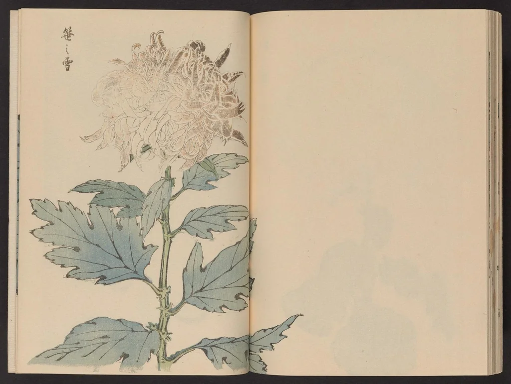 An illustration from Keika hyakugiku, 1893, leaf 26
