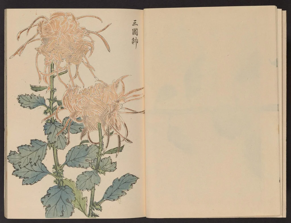 An illustration from Keika hyakugiku, 1893, leaf 5