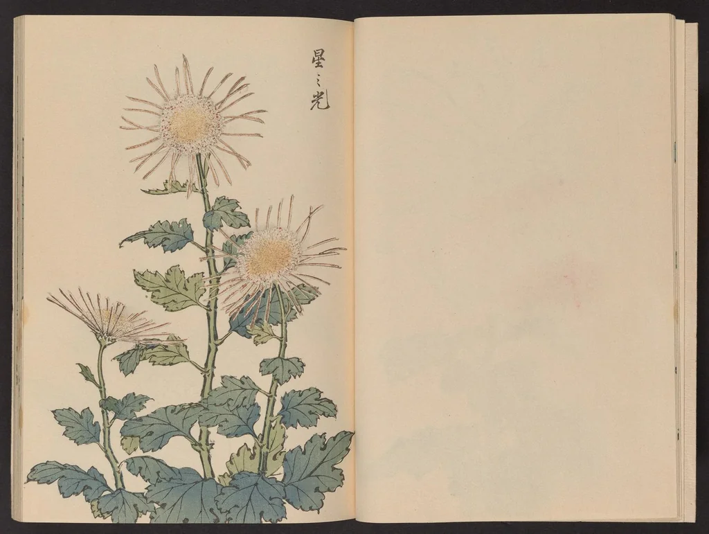 An illustration from Keika hyakugiku, 1893, leaf 7