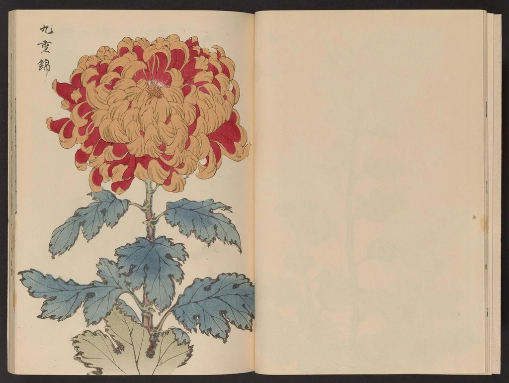 An illustration from Keika hyakugiku, 1893, leaf 8