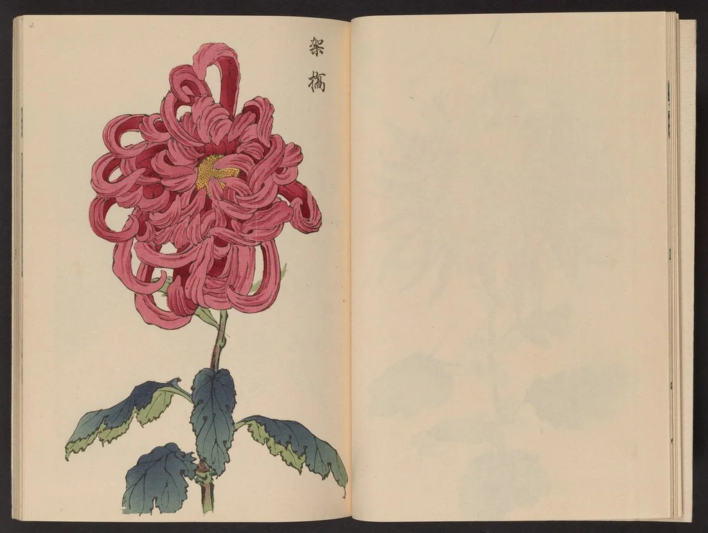 An illustration from Keika hyakugiku, 1893, leaf 10