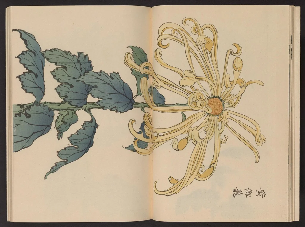 An illustration from Keika hyakugiku, 1893, leaf 13
