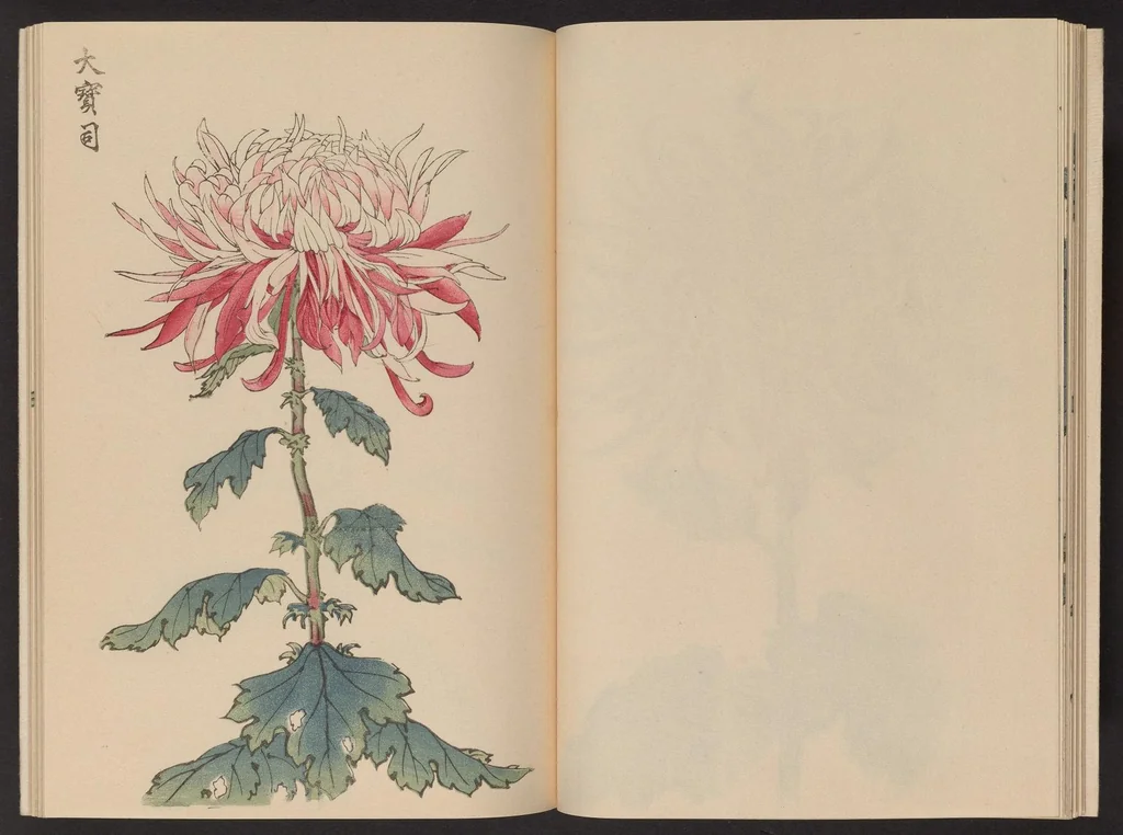 An illustration from Keika hyakugiku, 1893, leaf 15