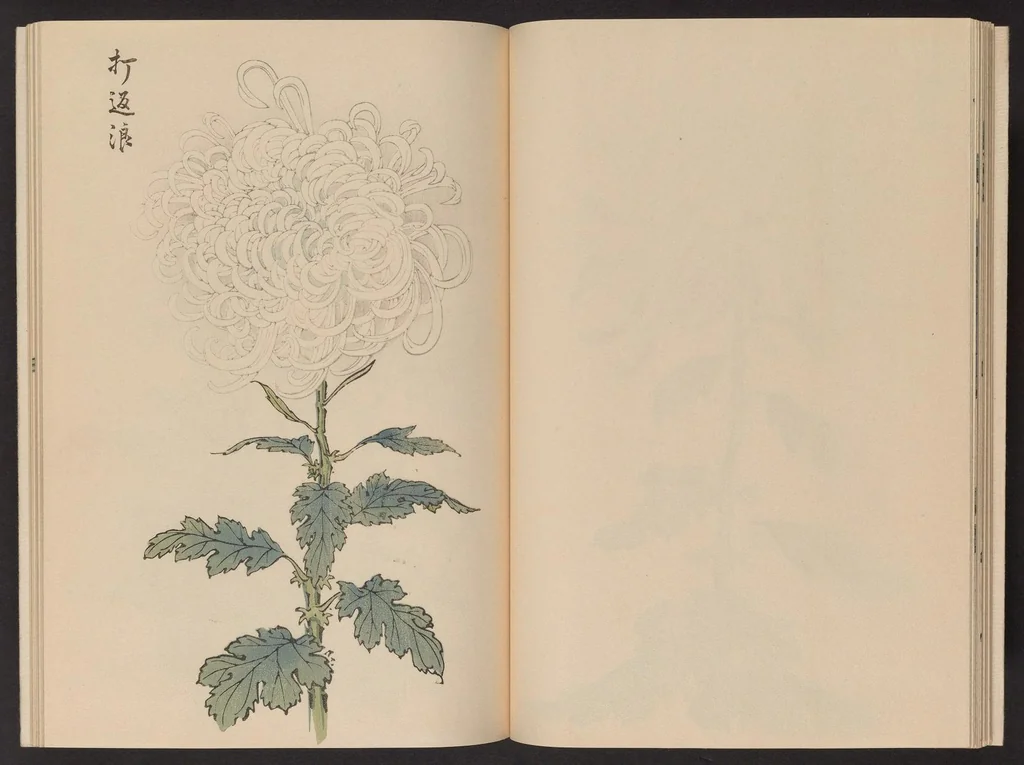 An illustration from Keika hyakugiku, 1893, leaf 16