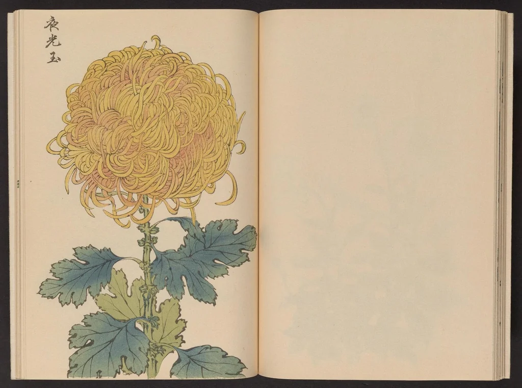 An illustration from Keika hyakugiku, 1893, leaf 18