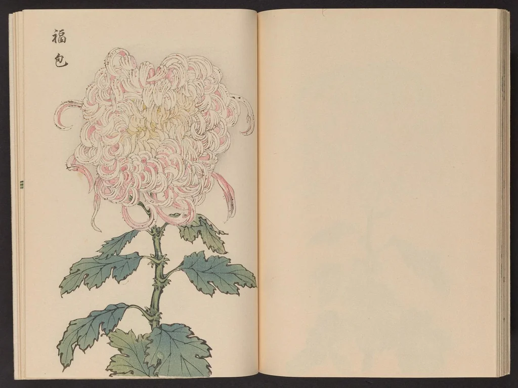 An illustration from Keika hyakugiku, 1893, leaf 21