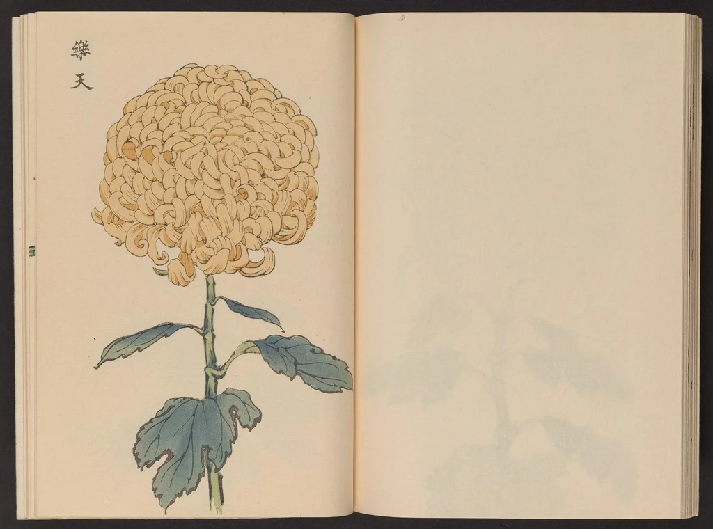 An illustration from Keika hyakugiku, 1893, leaf 22