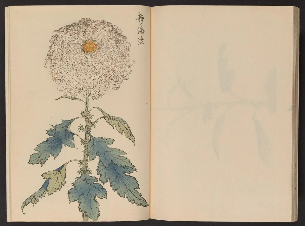 An illustration from Keika hyakugiku, 1893, leaf 25