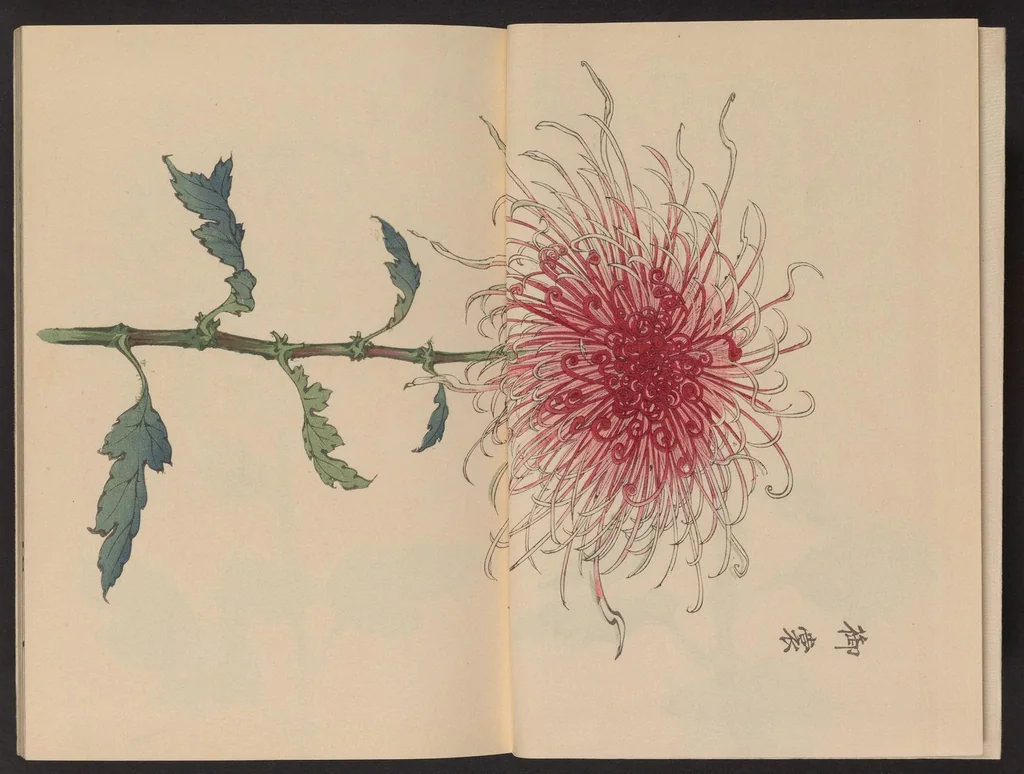 An illustration from Keika hyakugiku, 1893, leaf 3