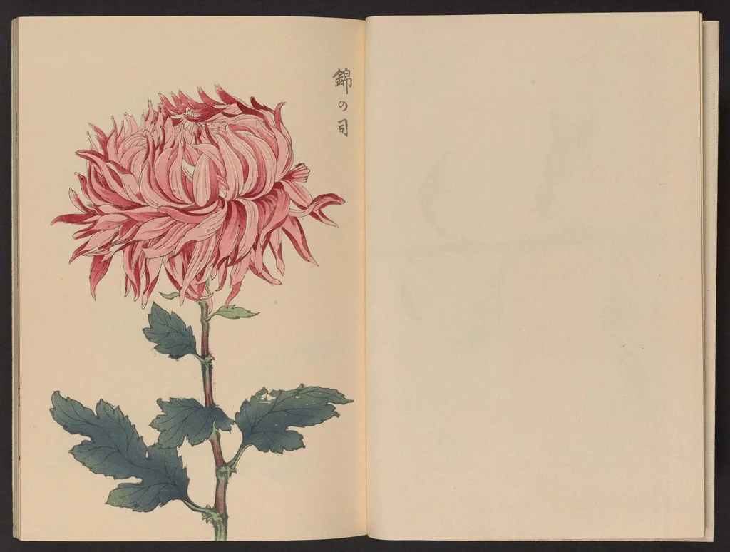 An illustration from Keika hyakugiku, 1893, leaf 4