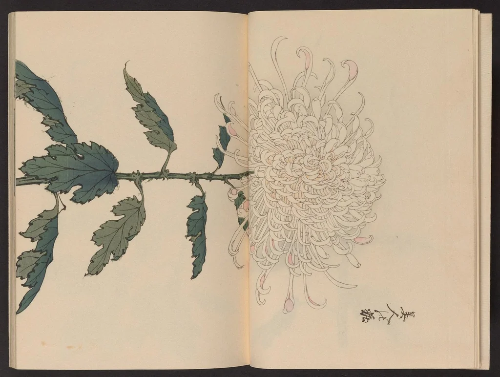 An illustration from Keika hyakugiku, 1893, leaf 7