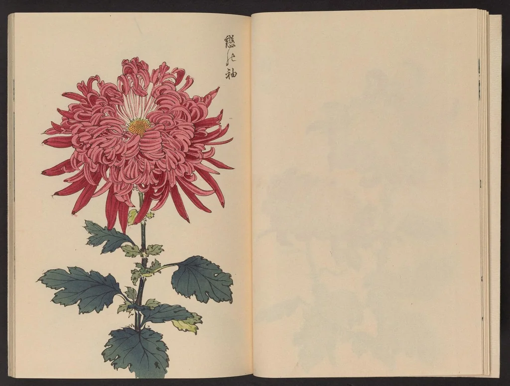 An illustration from Keika hyakugiku, 1893, leaf 9