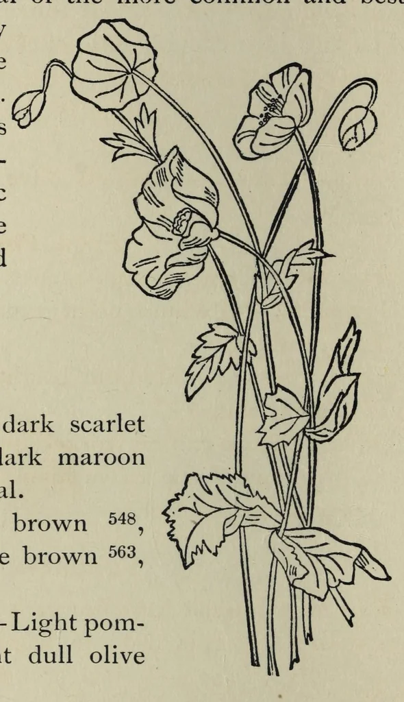 An illustration from Kensington embroidery and the colors of flowers : a complete guide to art needlework, 1884, leaf 22