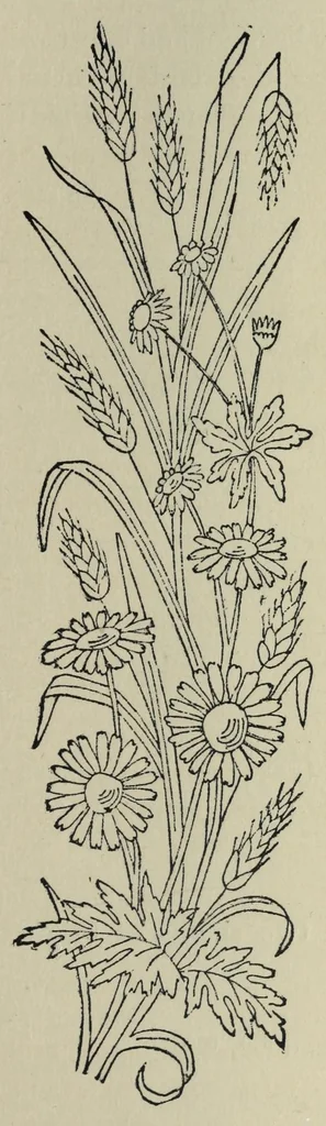 An illustration from Kensington embroidery and the colors of flowers : a complete guide to art needlework, 1884, leaf 41