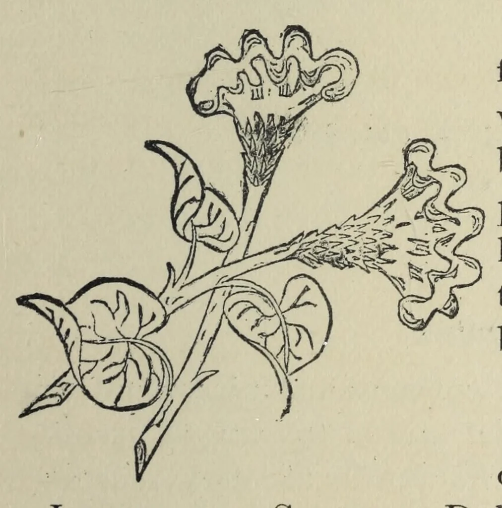 An illustration from Kensington embroidery and the colors of flowers : a complete guide to art needlework, 1884, leaf 47