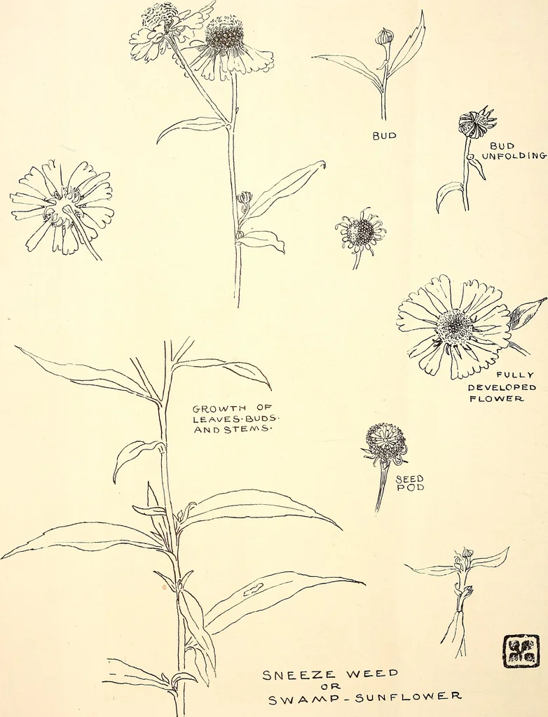 An illustration from Keramic studio, 1899, leaf 119