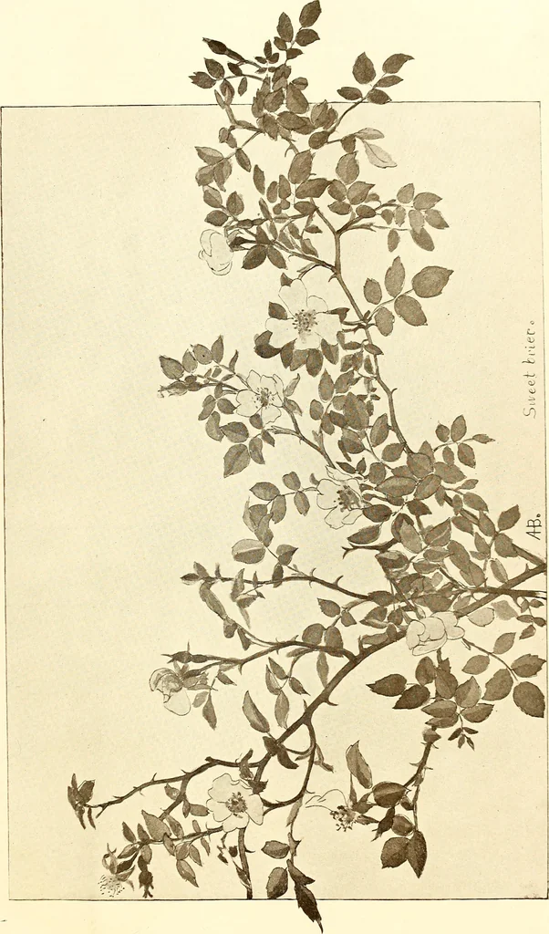 An illustration from Keramic studio, 1899, leaf 134