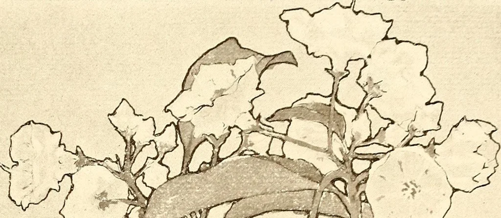An illustration from Keramic studio, 1899, leaf 16