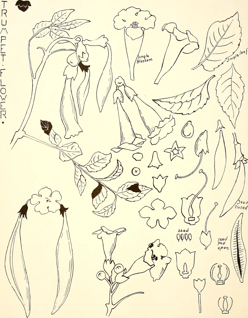 An illustration from Keramic studio, 1899, leaf 167