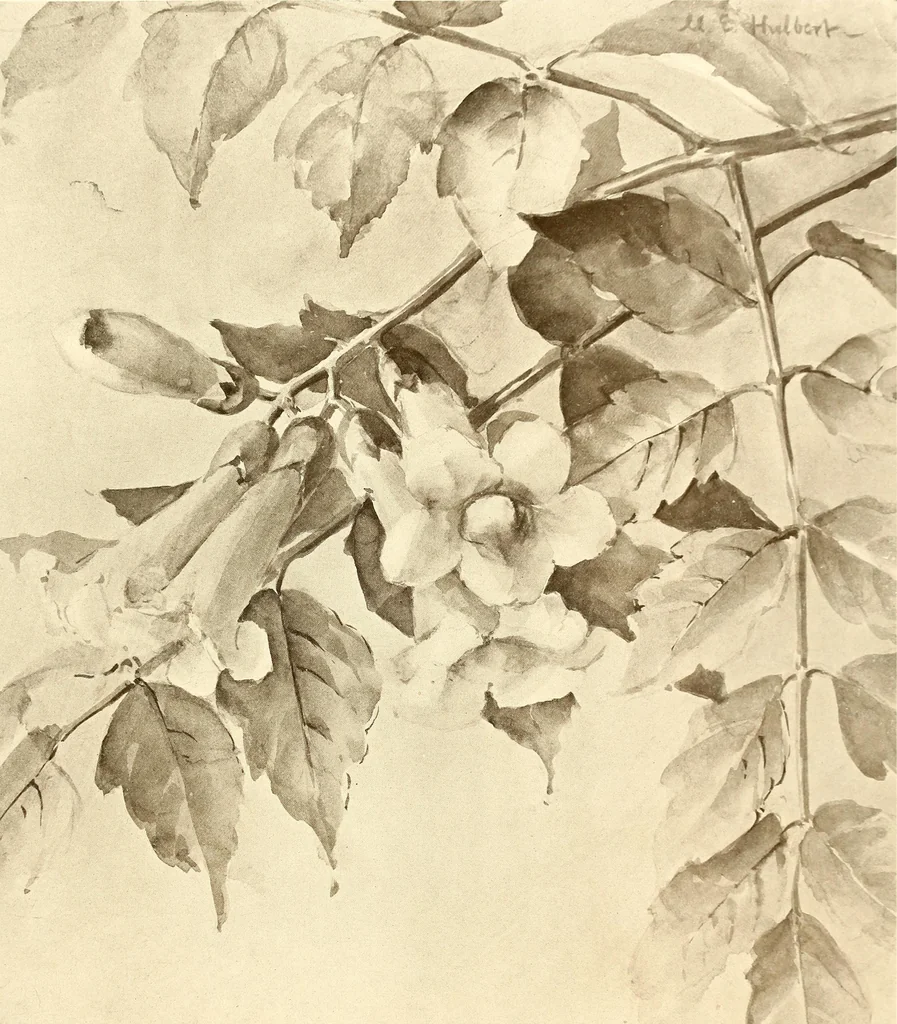 An illustration from Keramic studio, 1899, leaf 168