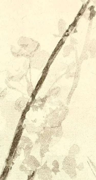 An illustration from Keramic studio, 1899, leaf 175