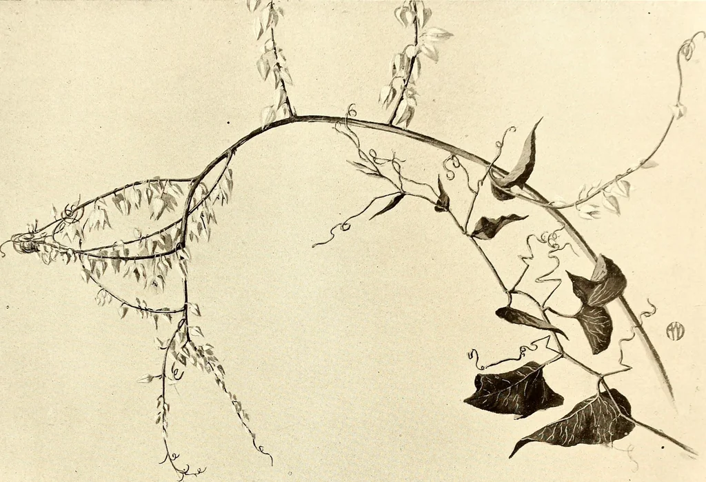 An illustration from Keramic studio, 1899, leaf 180