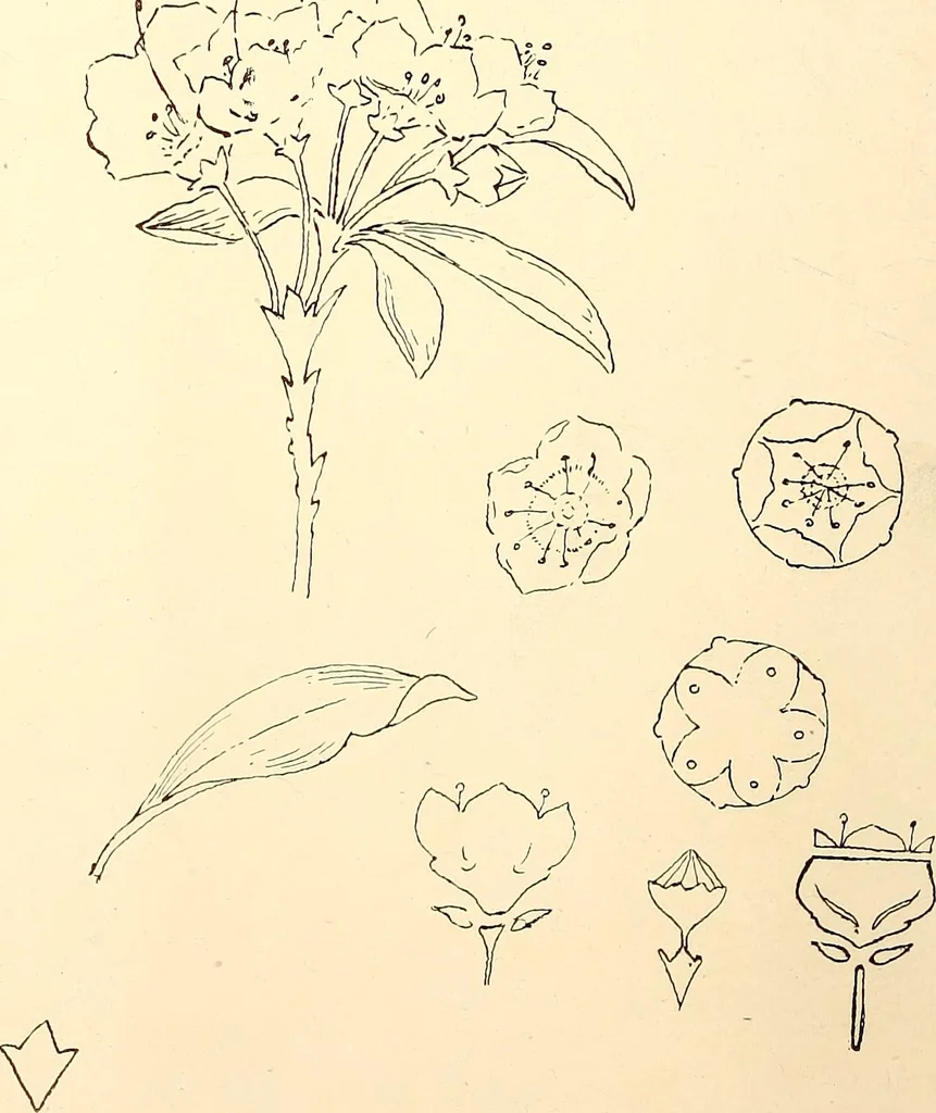 An illustration from Keramic studio, 1899, leaf 19