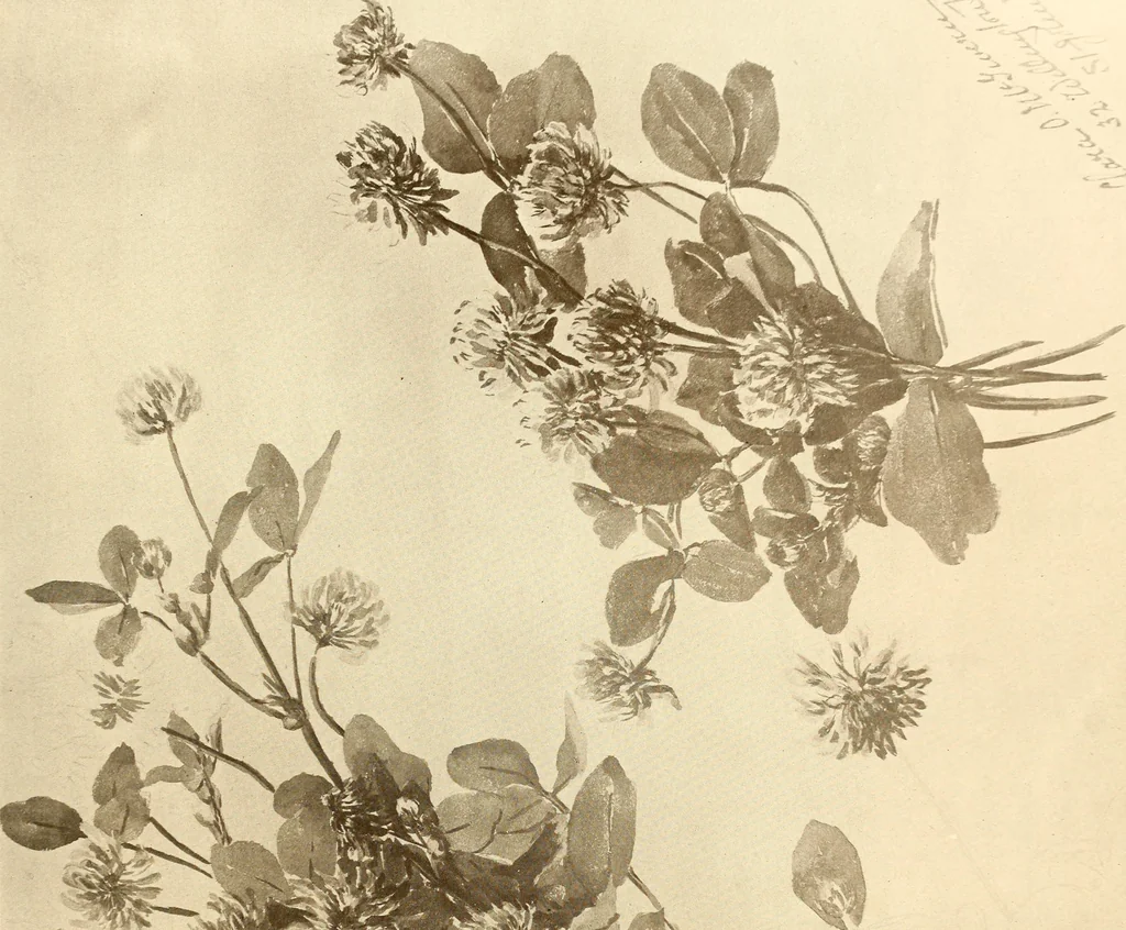 An illustration from Keramic studio, 1899, leaf 20
