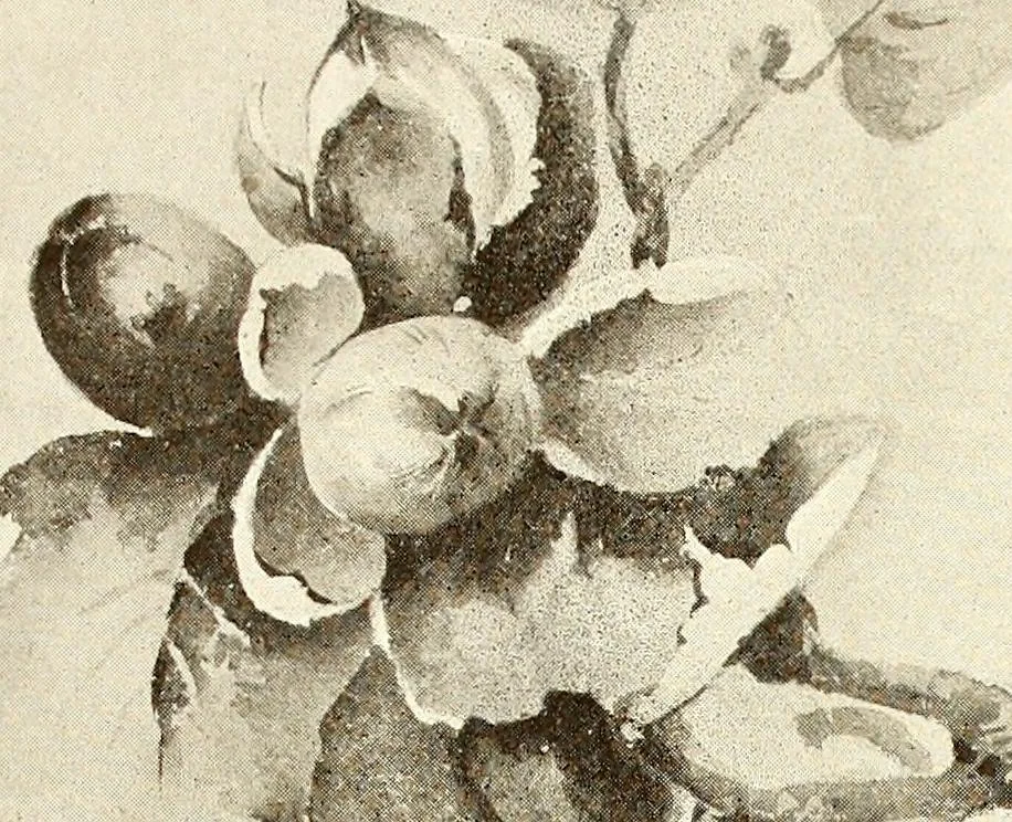 An illustration from Keramic studio, 1899, leaf 217