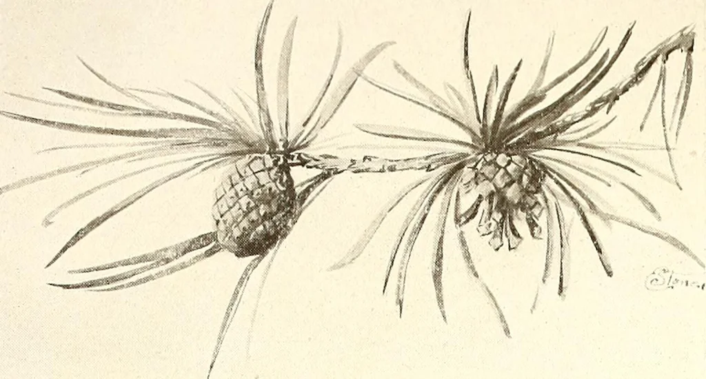 An illustration from Keramic studio, 1899, leaf 223