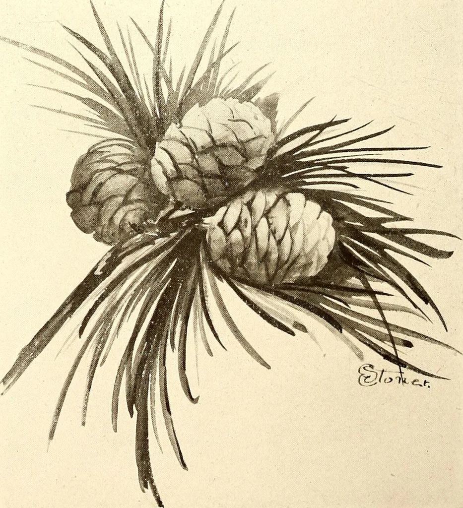An illustration from Keramic studio, 1899, leaf 223