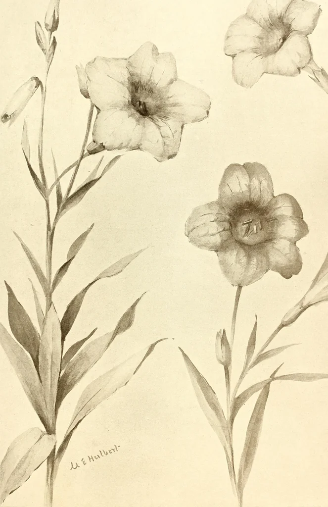 An illustration from Keramic studio, 1899, leaf 248
