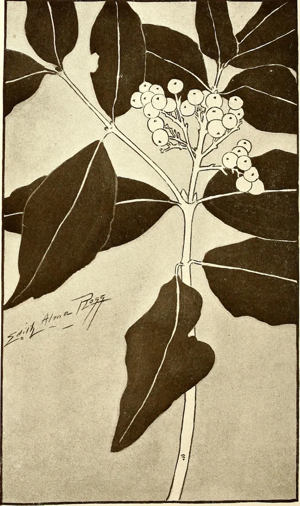 An illustration from Keramic studio, 1899, leaf 253