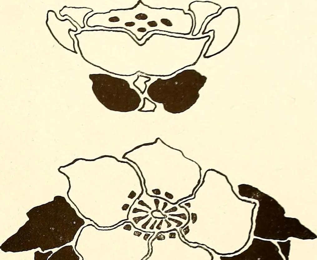 An illustration from Keramic studio, 1899, leaf 254