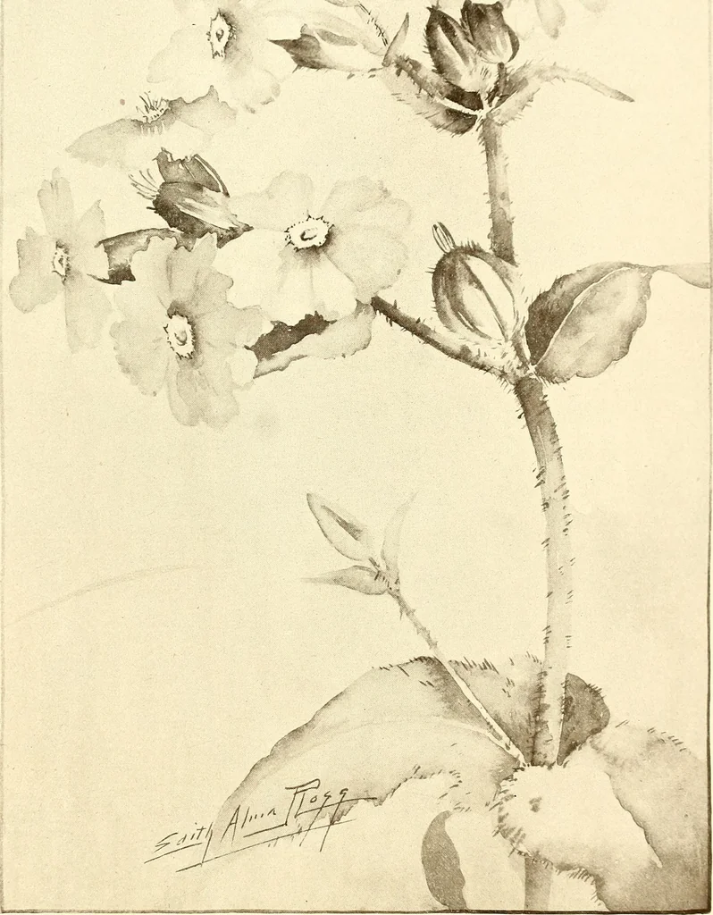 An illustration from Keramic studio, 1899, leaf 260