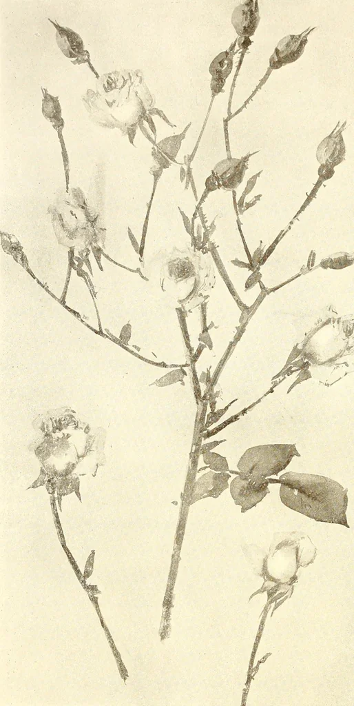 An illustration from Keramic studio, 1899, leaf 277