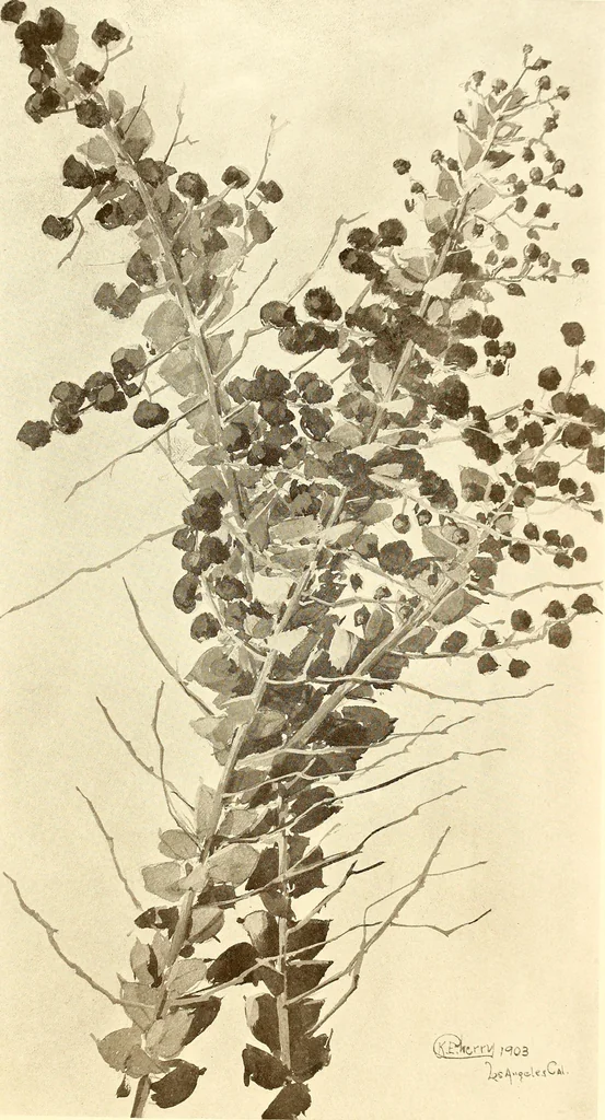 An illustration from Keramic studio, 1899, leaf 282
