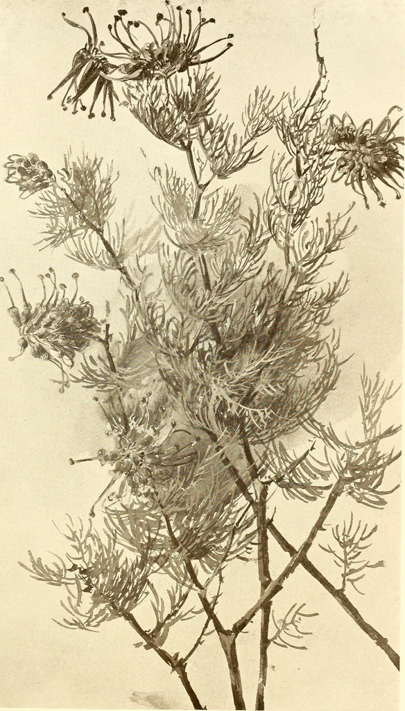 An illustration from Keramic studio, 1899, leaf 286