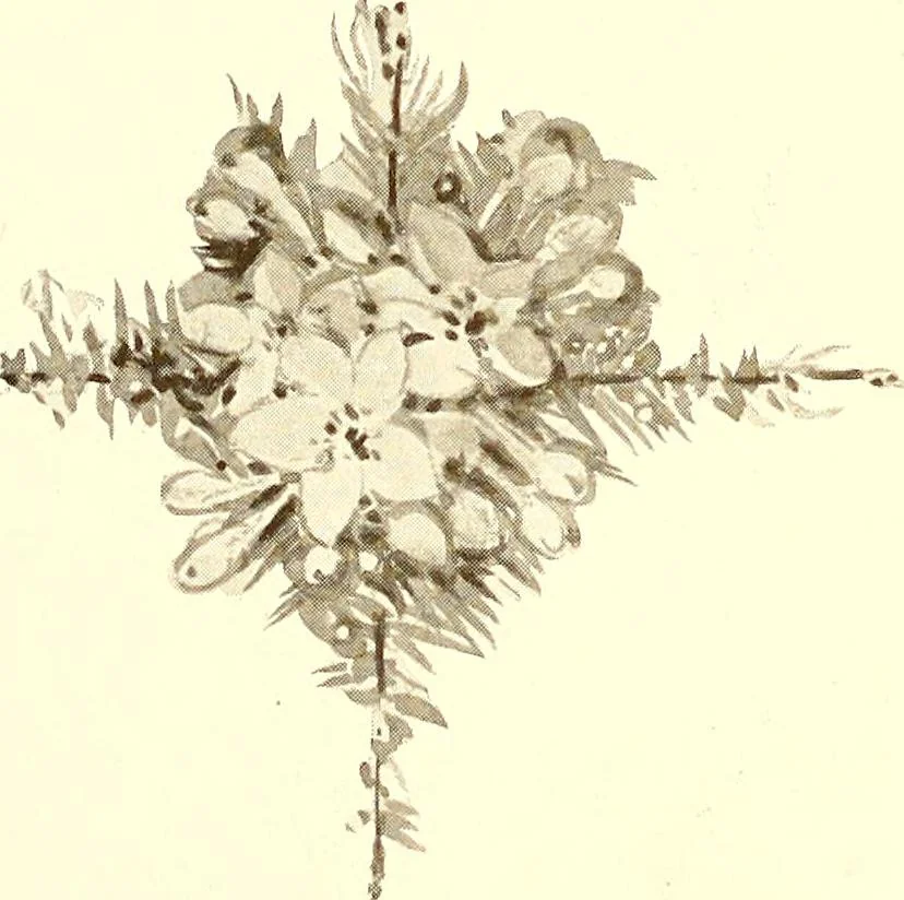 An illustration from Keramic studio, 1899, leaf 287