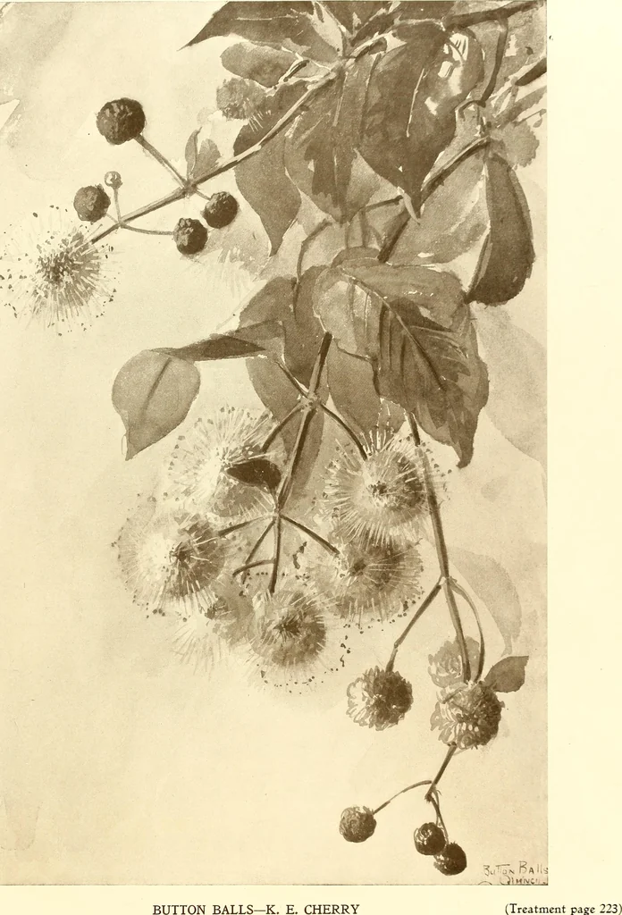 An illustration from Keramic studio, 1899, leaf 290