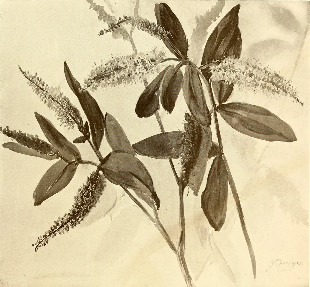 An illustration from Keramic studio, 1899, leaf 296