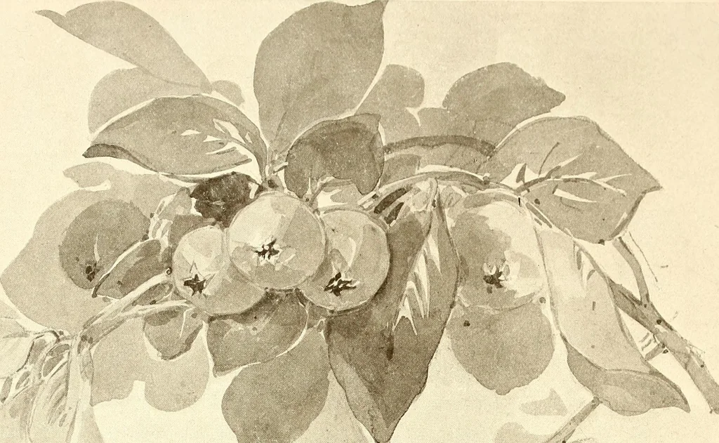 An illustration from Keramic studio, 1899, leaf 299